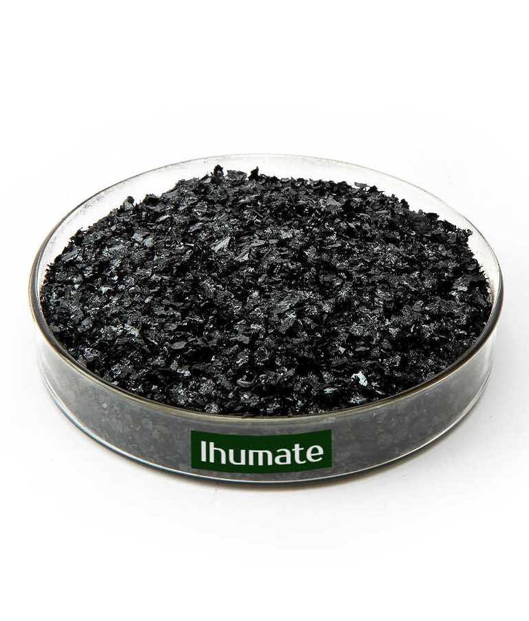 Lignite Sodium Humate Flake
