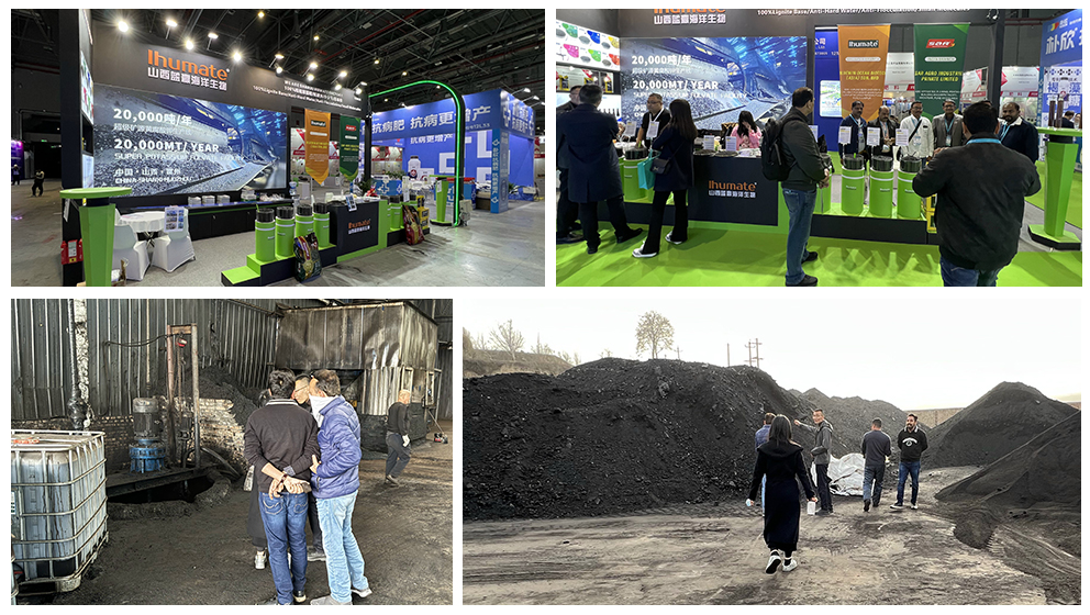 CAC上海展会后，山西蓝赢海洋生物科技有限公司带领海外客户实地参观工厂